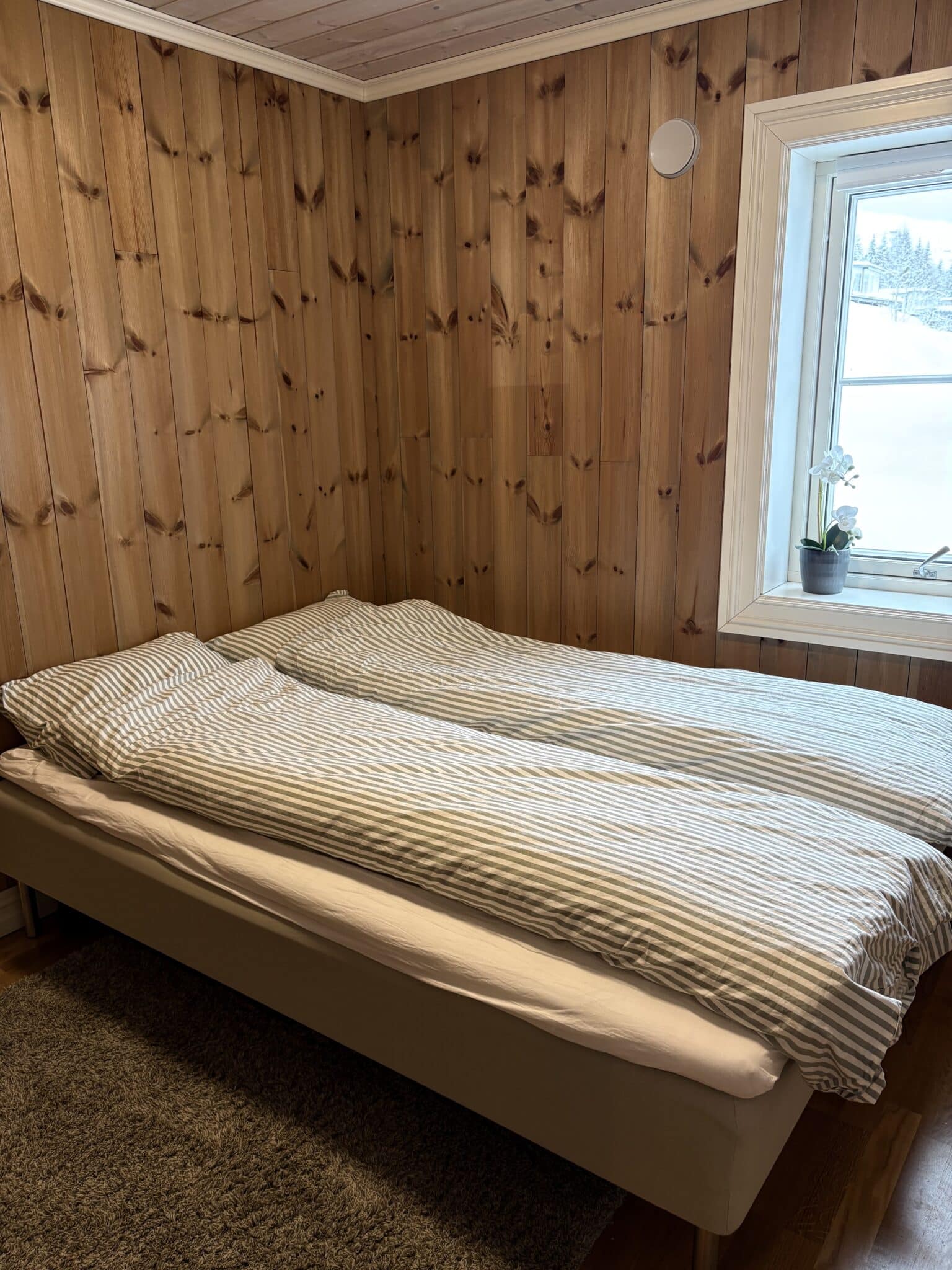 Bilde 22.02.2026, 09 16 22