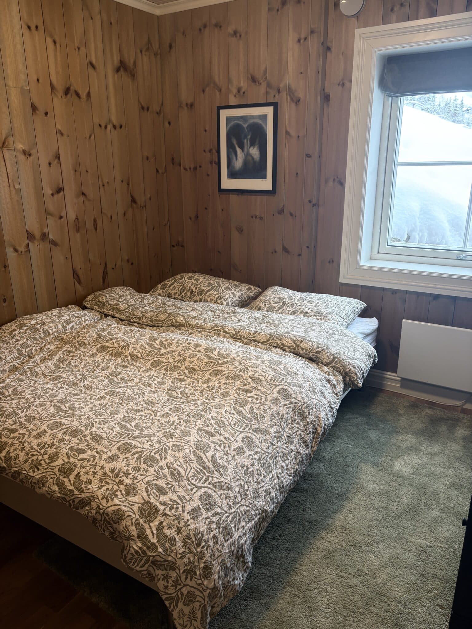 Bilde 22.02.2026, 09 18 25